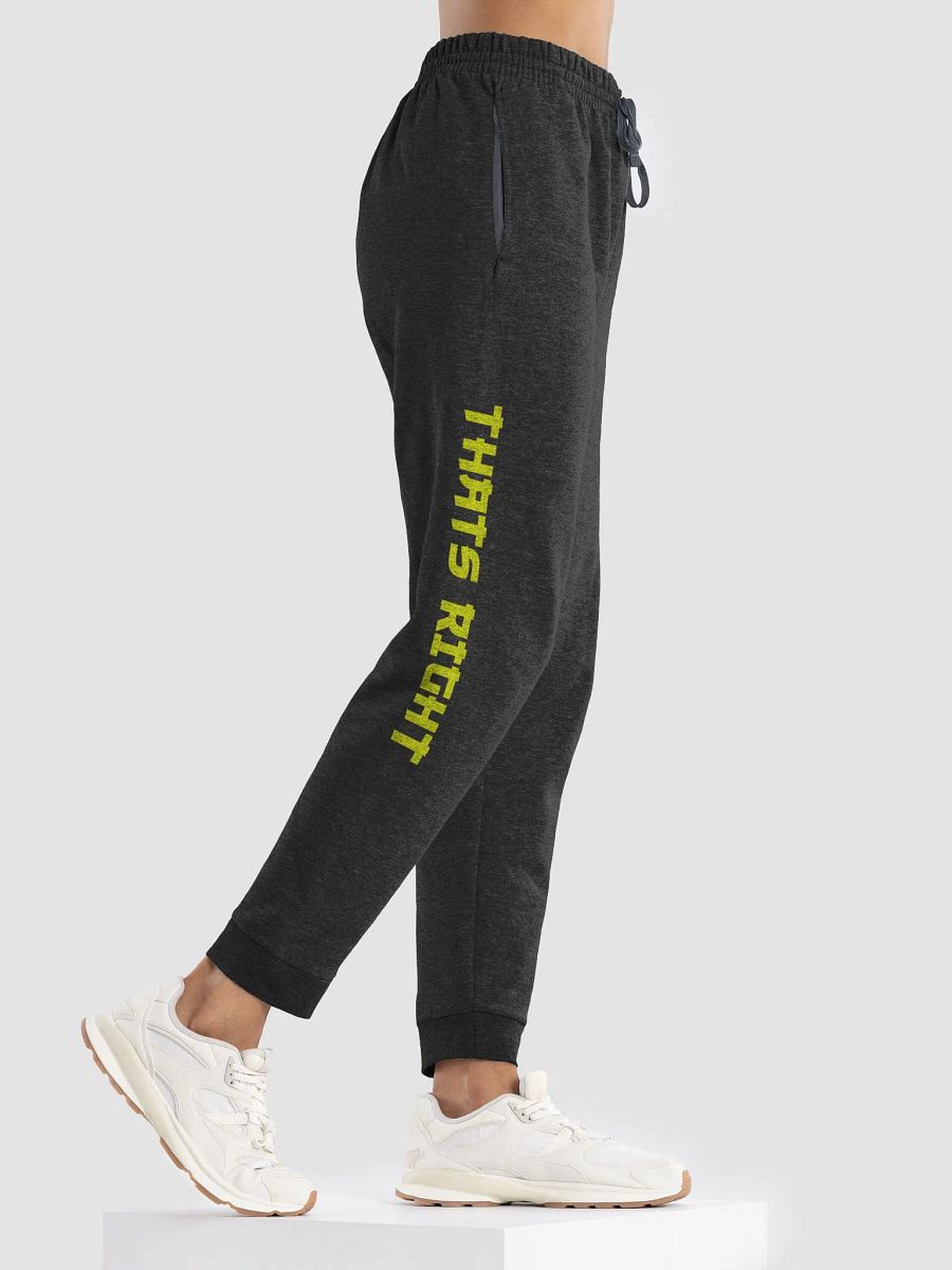 Ronin Joggers product image (4)