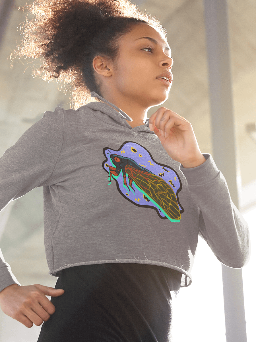 Vaporcicada fleece crop hoodie product image (1)