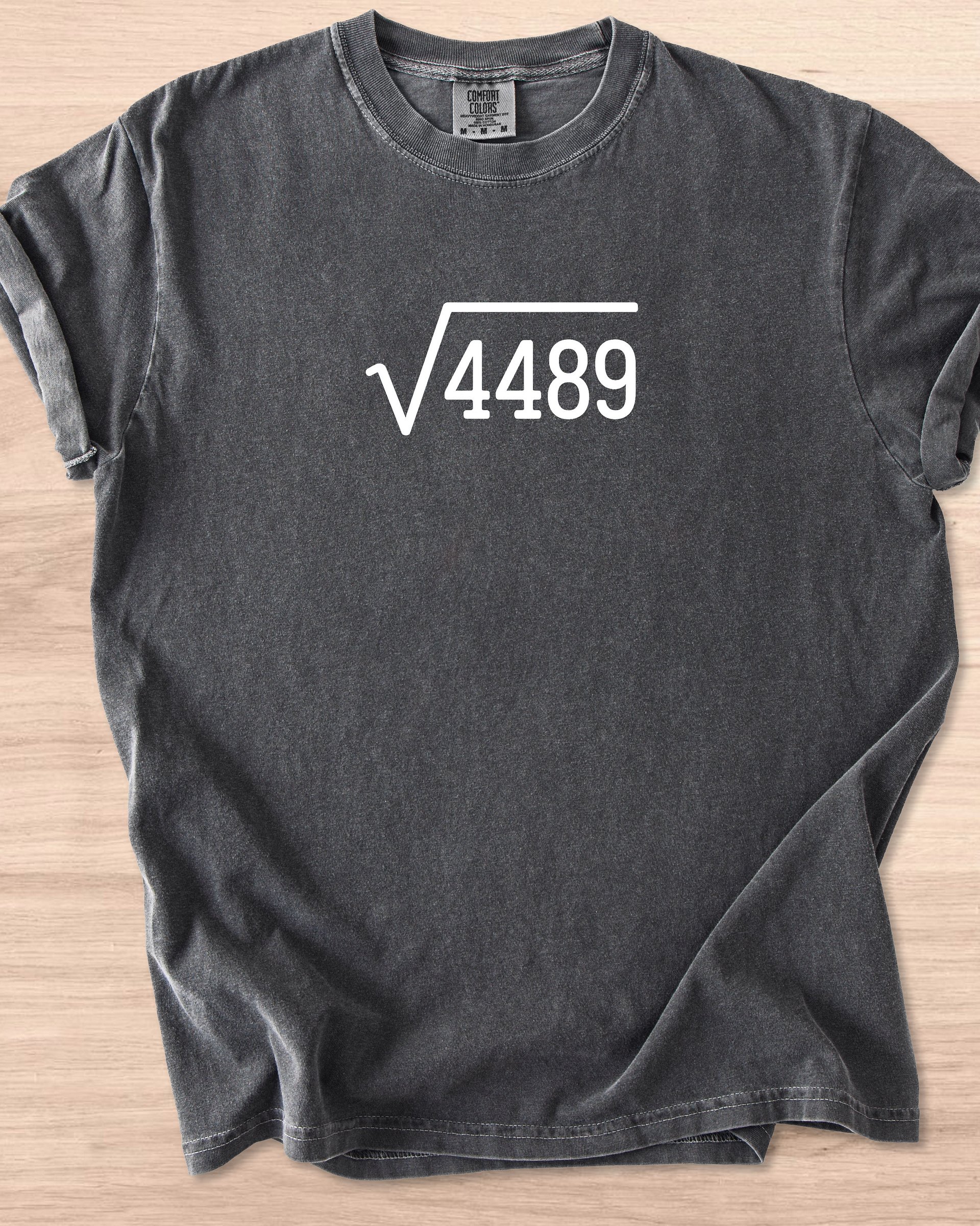 67 (Six Seven Root) Tee product image (8)