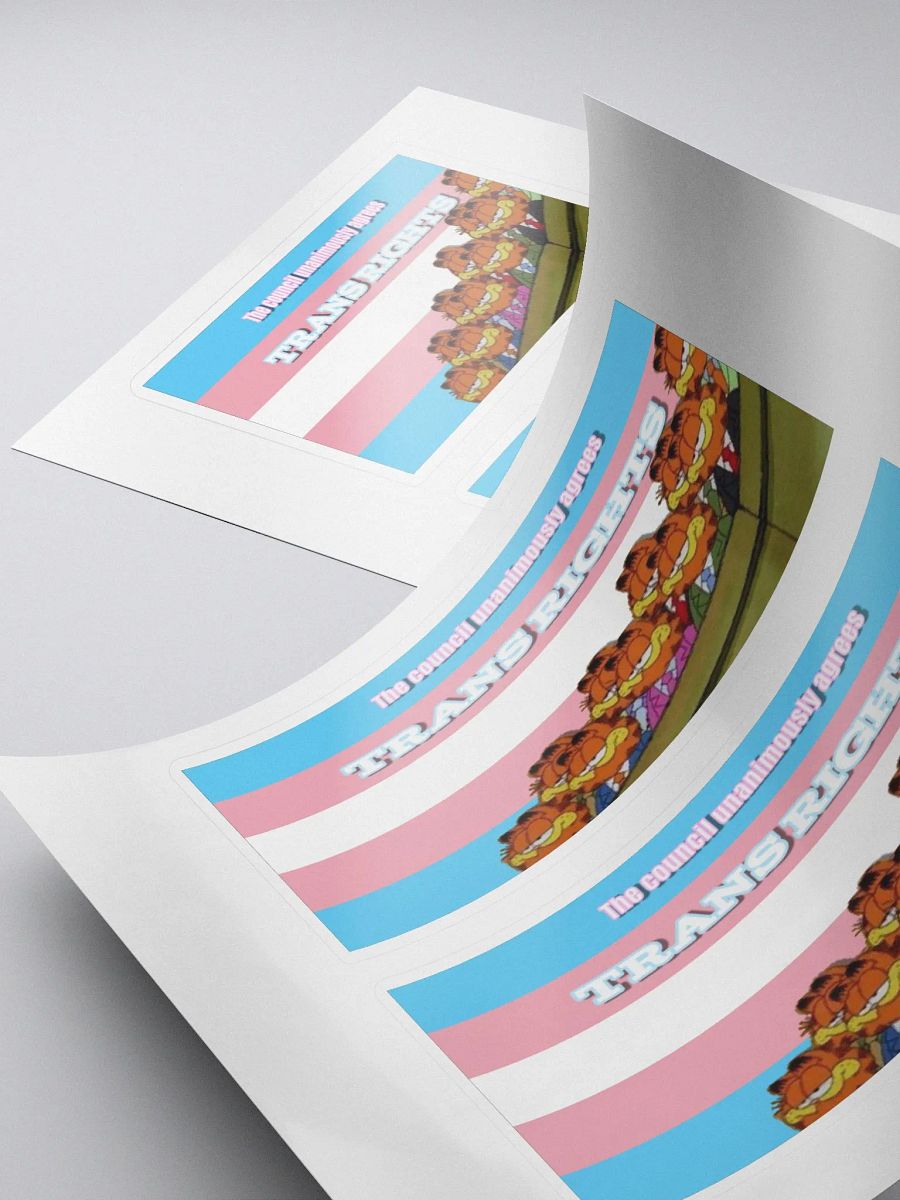 Trans Rights Stickers product image (4)