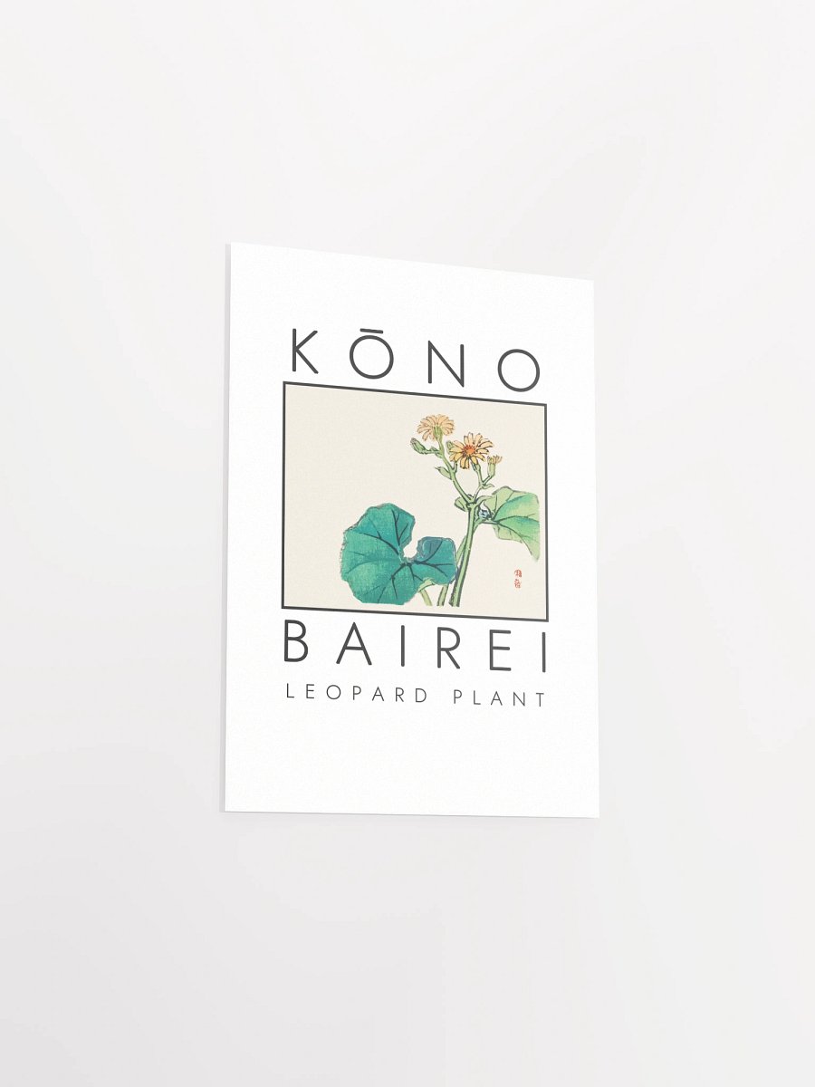 Kono Bairei Leopard Plant Poster product image (4)