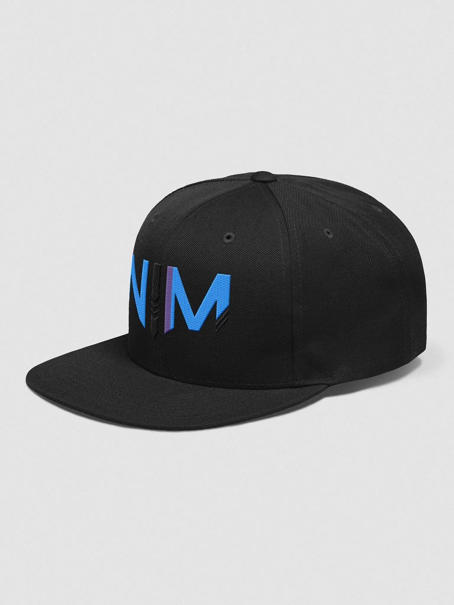 Nim Means Business Formal Hat product image (33)