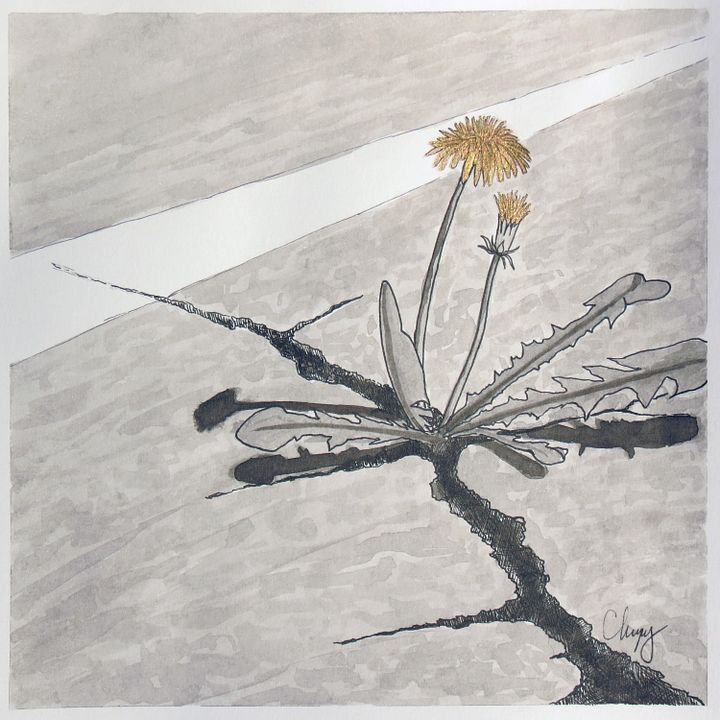 Dandelion - Original Drawing product image (2)
