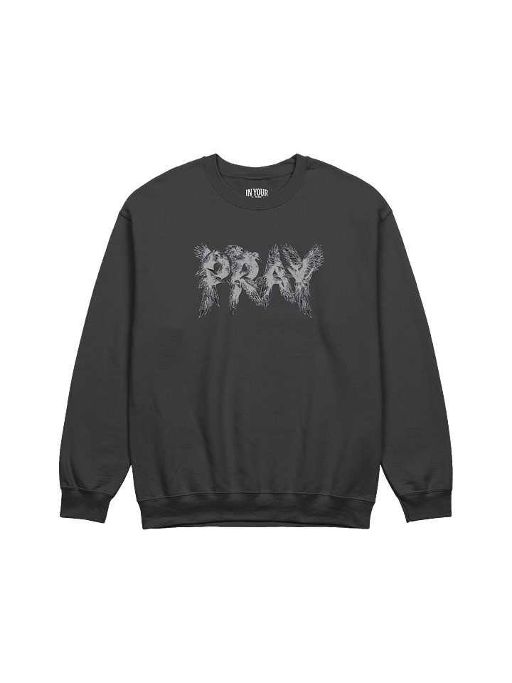 Birds Of Pray Sweatshirt product image (1)