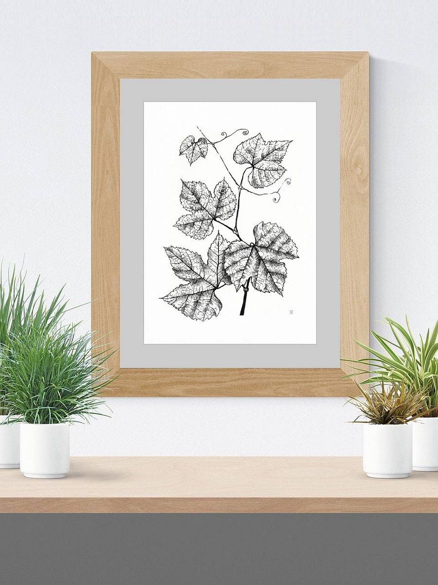 Enchanted Vine: Premium Matte Poster - Grape Leaves product image (7)