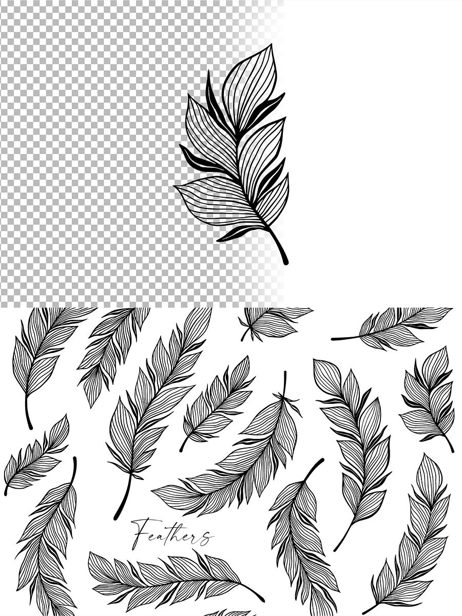 Elegant Line Art Feathers Collection product image (5)