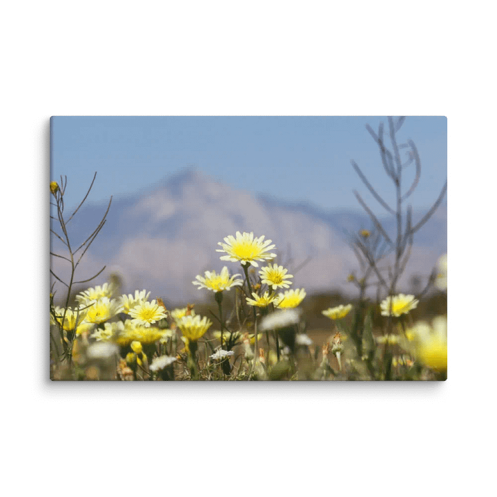 Canvas Print - Wildflowers with Mountains product image (2)