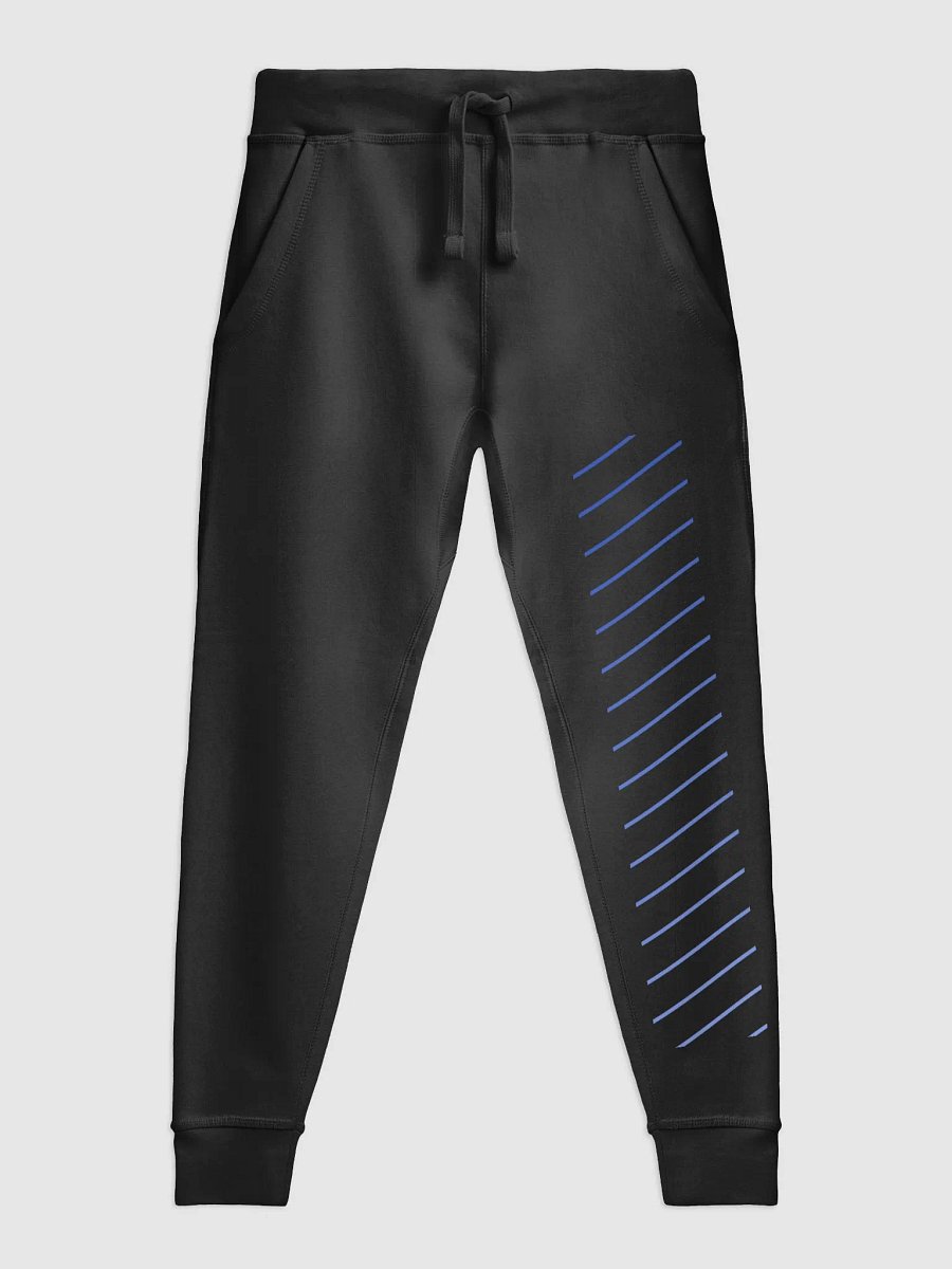 NF Type 2K24 | Member Joggings product image (3)