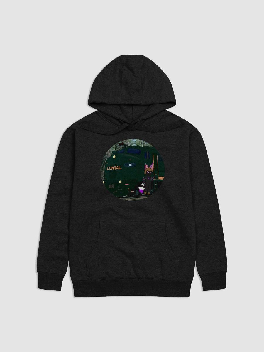 Bruin Kitty Conrail Hoodie product image (1)