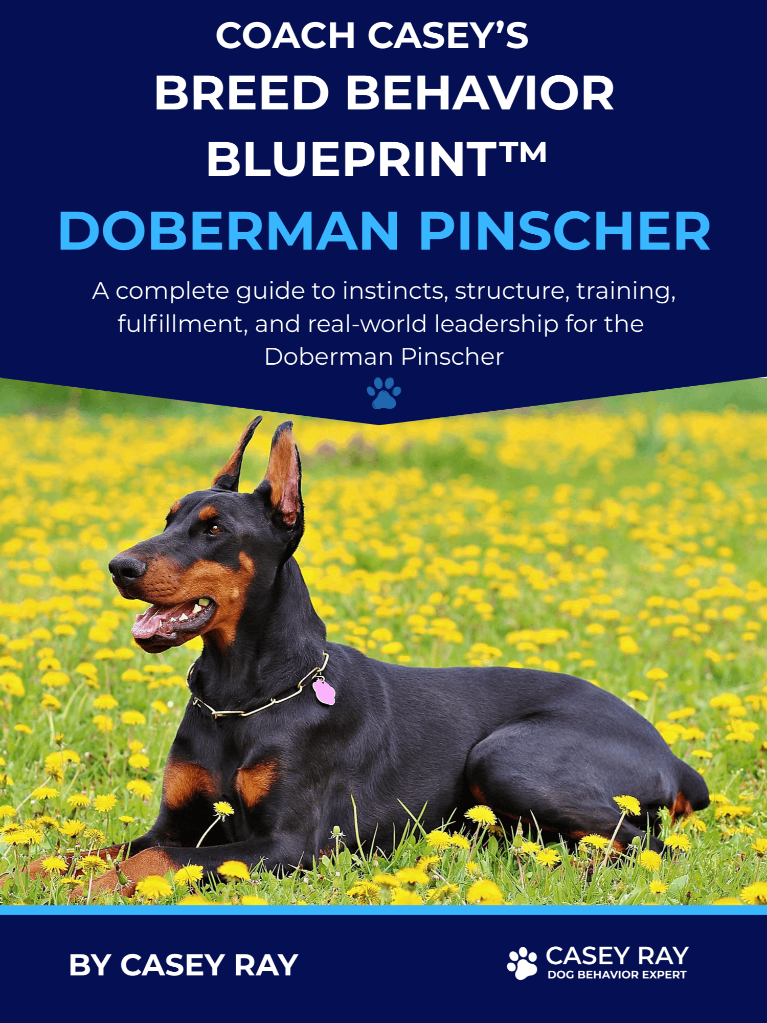 Coach Casey’s Breed Behavior Blueprint™ - Doberman Pinscher product image (1)