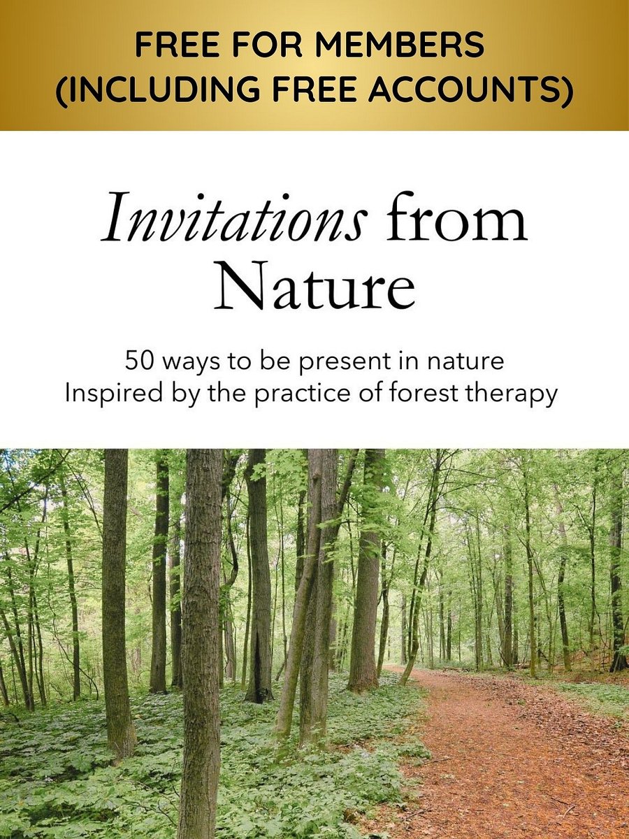 Invitations From Nature - Forest Therapy Inspired Card Deck (PDF Version) product image (1)