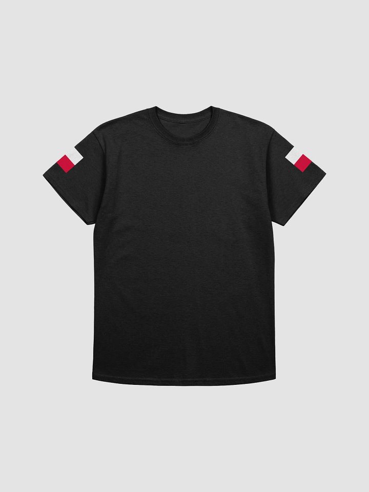 MR. POLAND - T-Shirt product image (1)