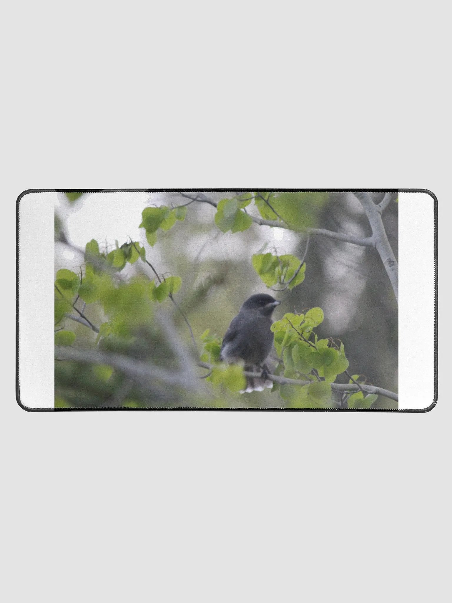 Bird on a tree product image (1)