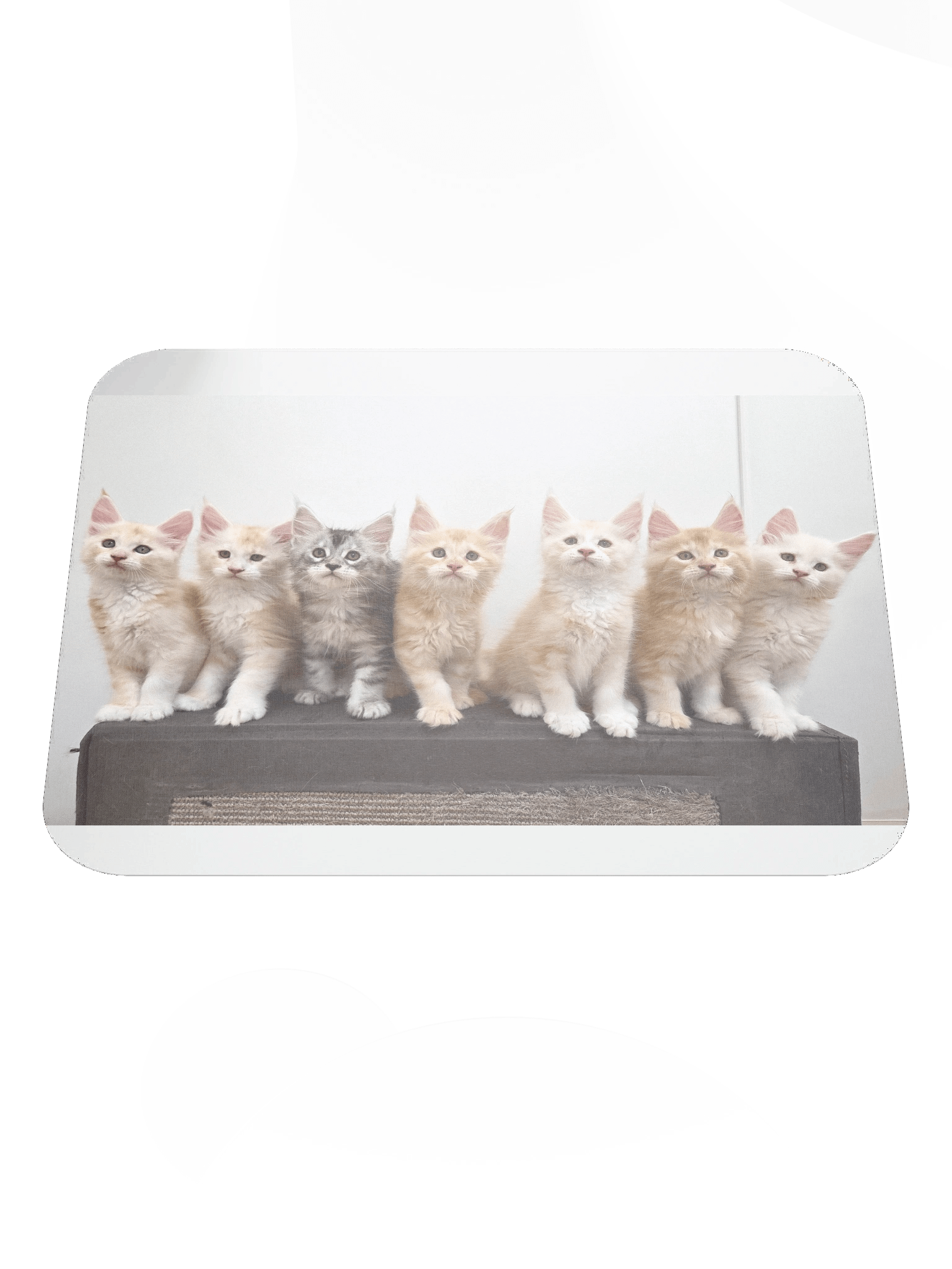 Freya's Kittens - Mouse Pad product image (1)