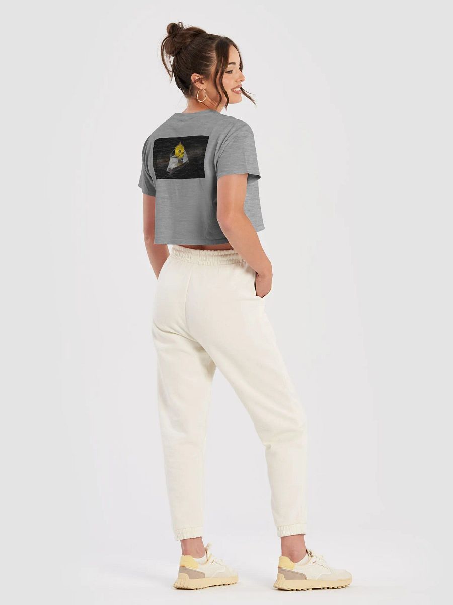 JWST ASTRO CROP TOP product image (62)