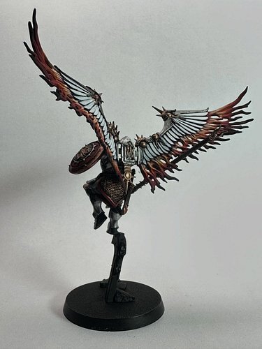 Really enjoying this WIP of Stormcast Eternal Prosecutors from the Stormblood Guard Stormhost #ageofsigmar #miniaturepainting