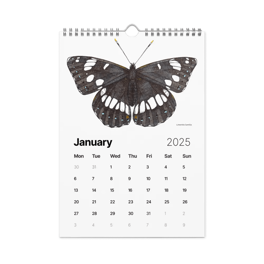 INSECTUM ABSTRACTUS - 2025 Calendar product image (8)
