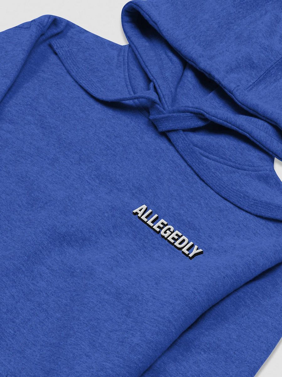 Allegedly Hoodie product image (3)