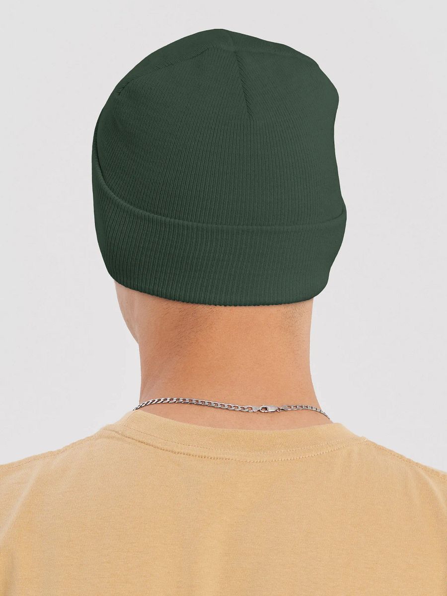 University Beanie 2 product image (13)