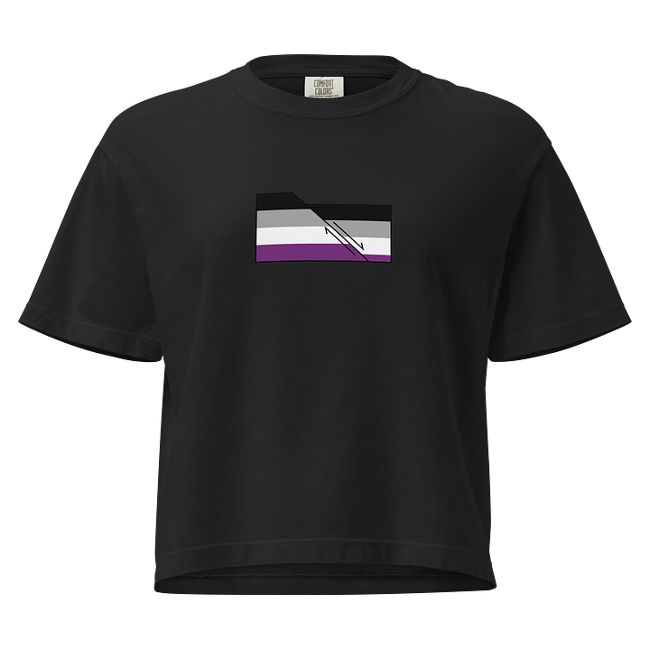 Faulted Pride Flags- Ace Shirt product image (1)