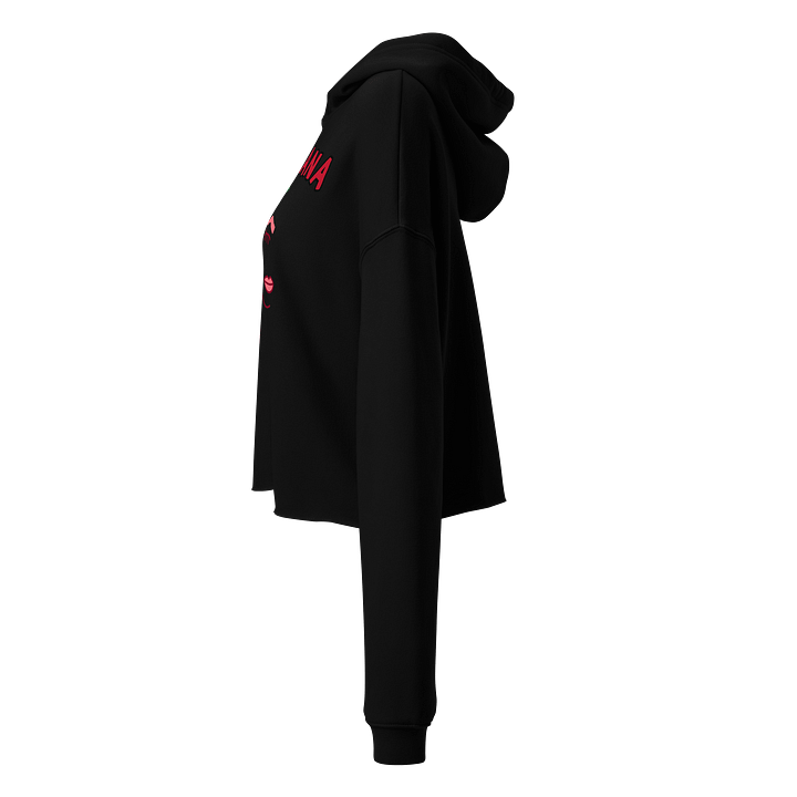 Mexicana Rose Crop Hoodie product image (5)