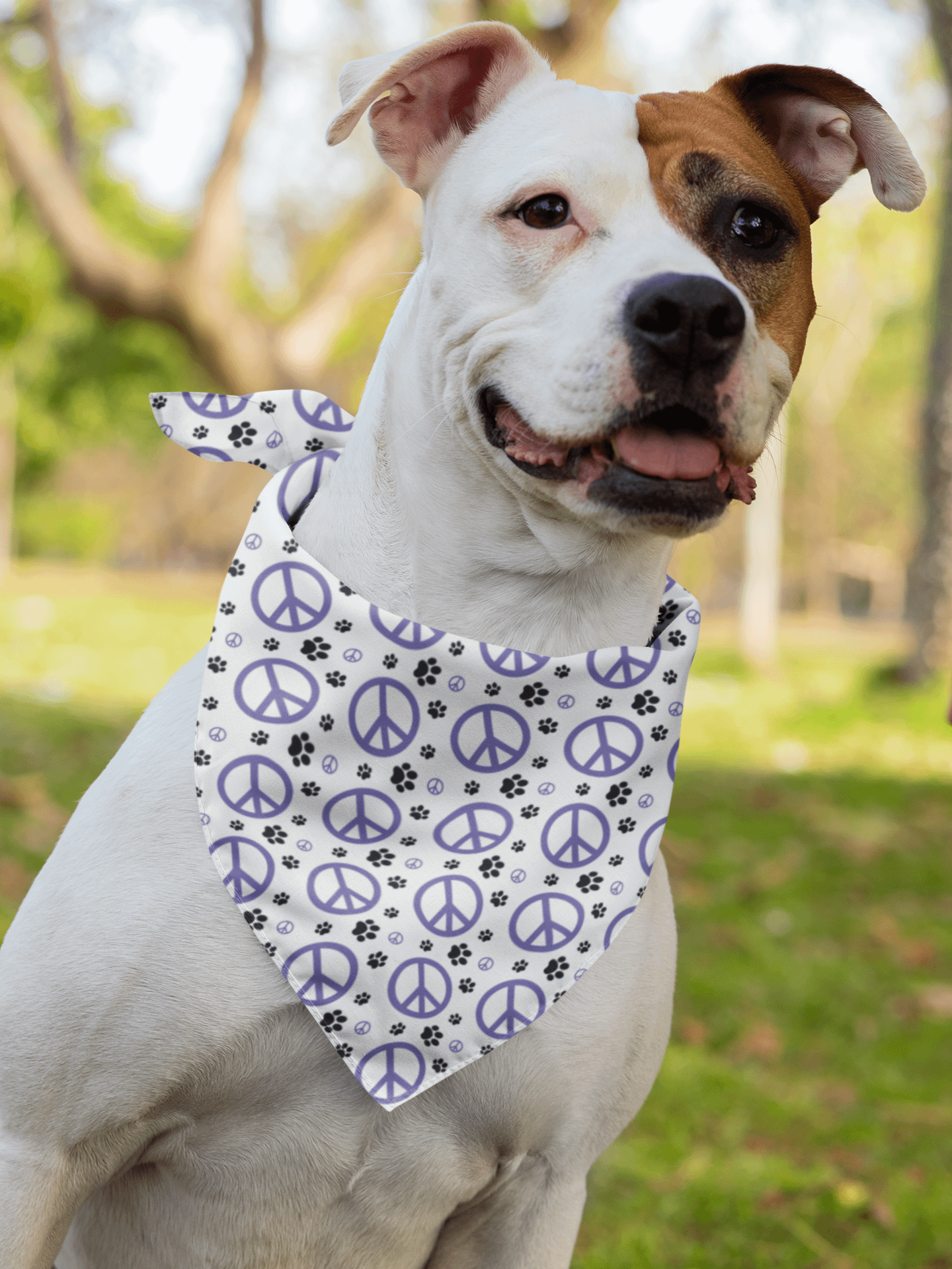 MasterPeace Bandana product image (2)