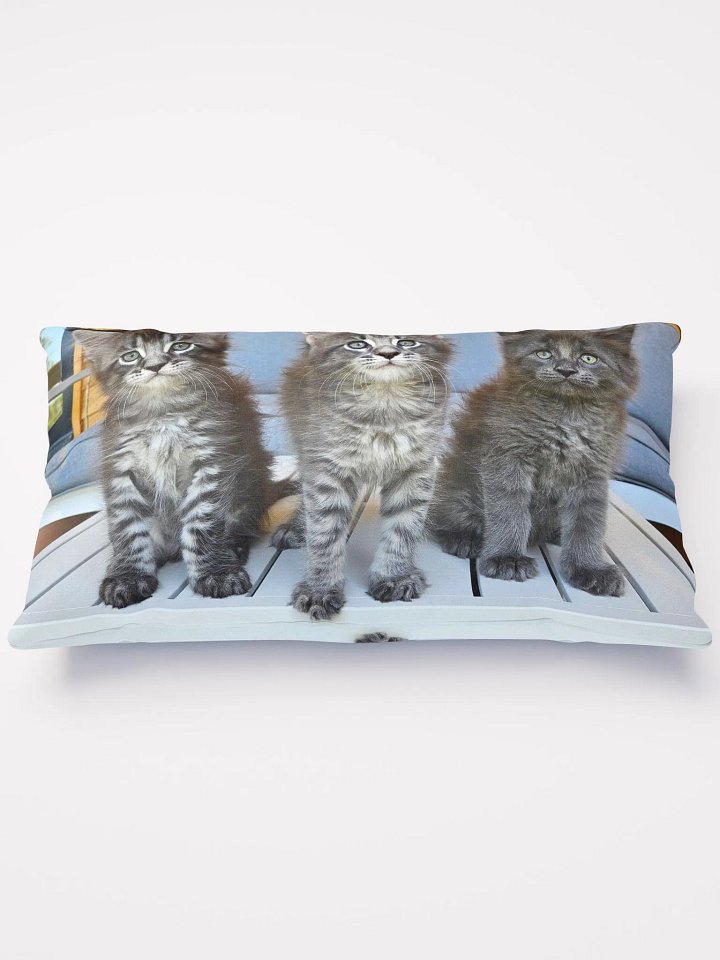Luna's Kittens - Pillow product image (1)
