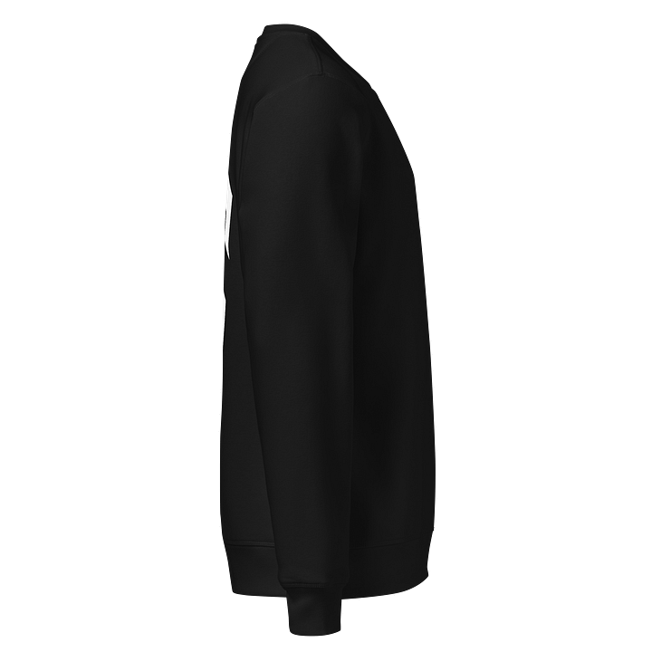 Sweatshirt - Large Logo product image (5)