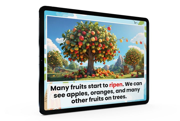 Summer product image (2)