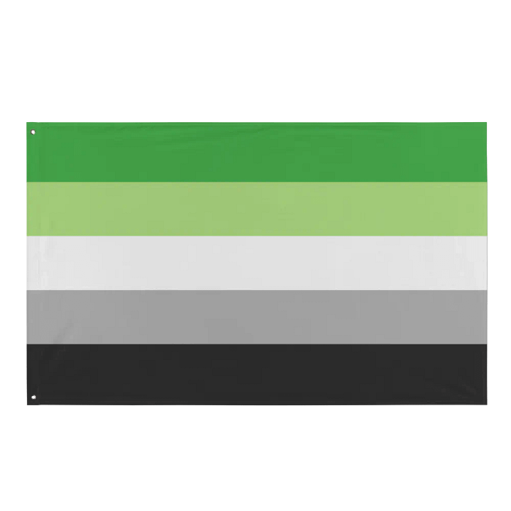 Aro Pride Flag product image (1)