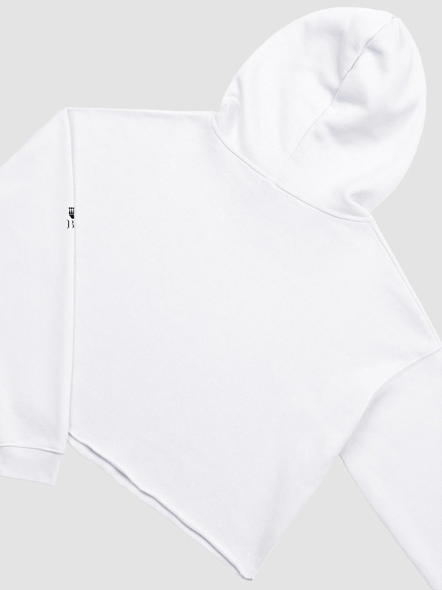 Success Tailored for Titans Cropped Hoodie product image (4)
