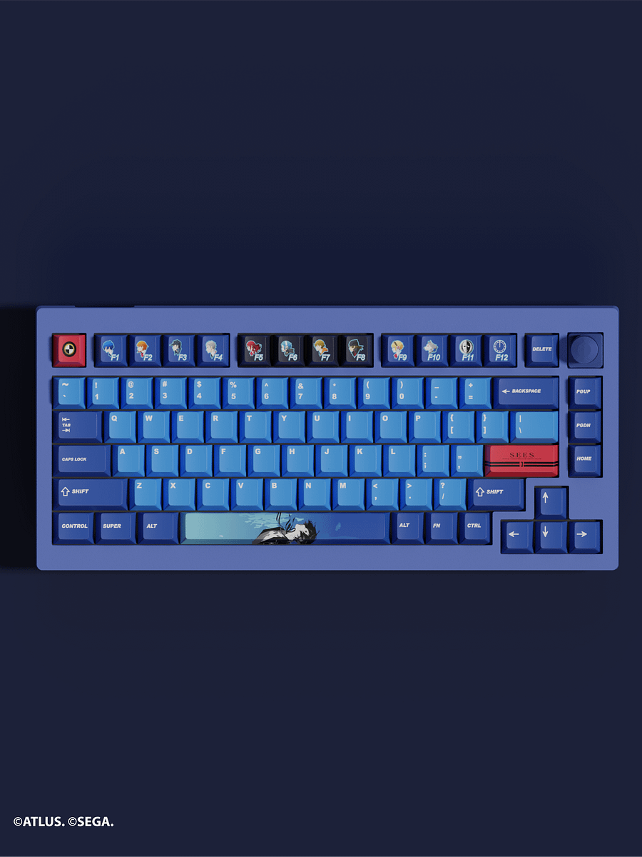 P3R Custom Blue Keyboard product image (4)