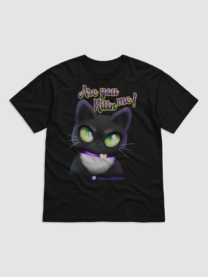 Are you Kittn Me Tee product image (1)