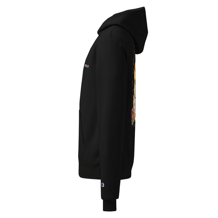 KA 1111 CHAMPION product image (3)