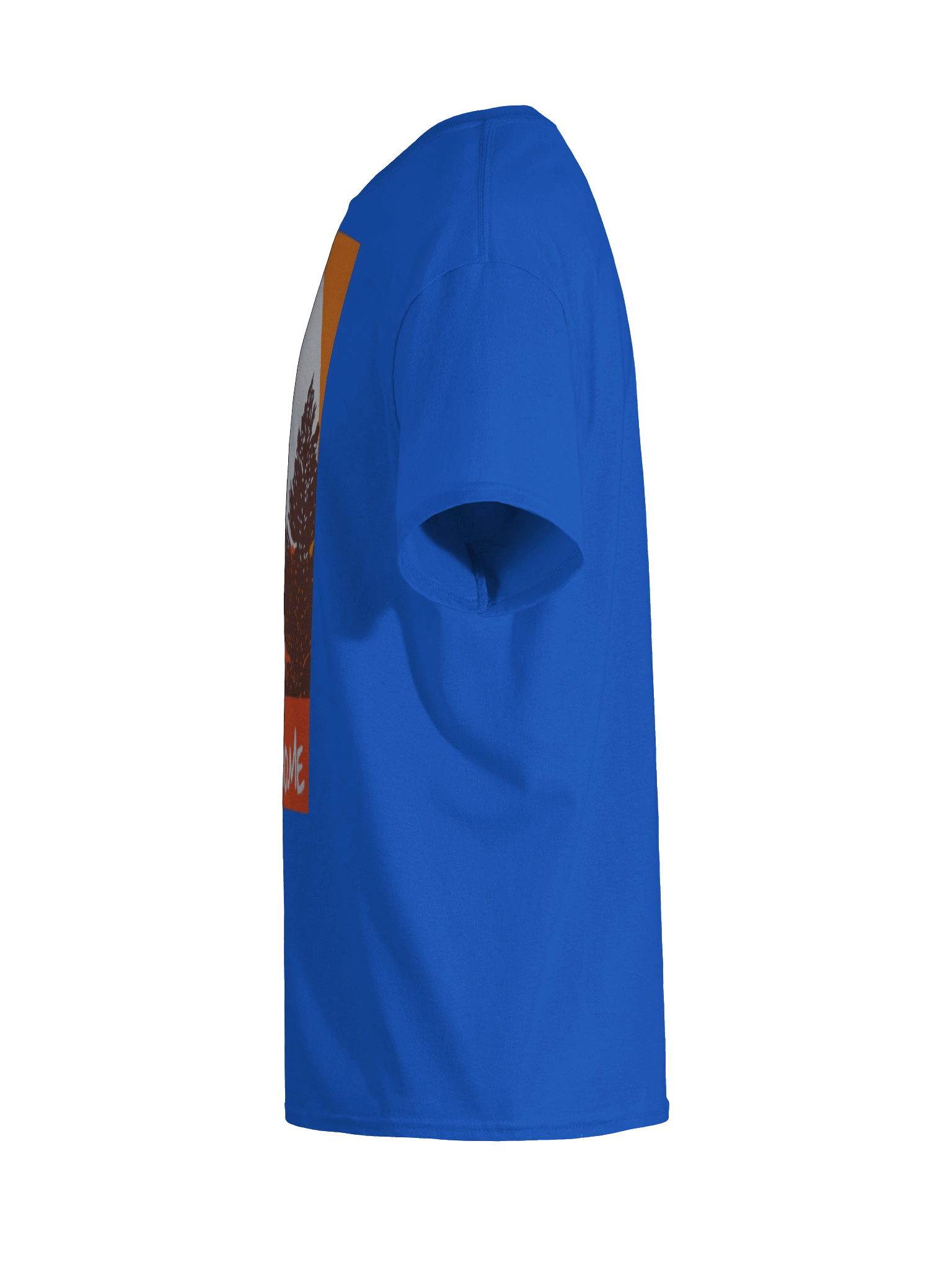 D.T Go Home product image (11)