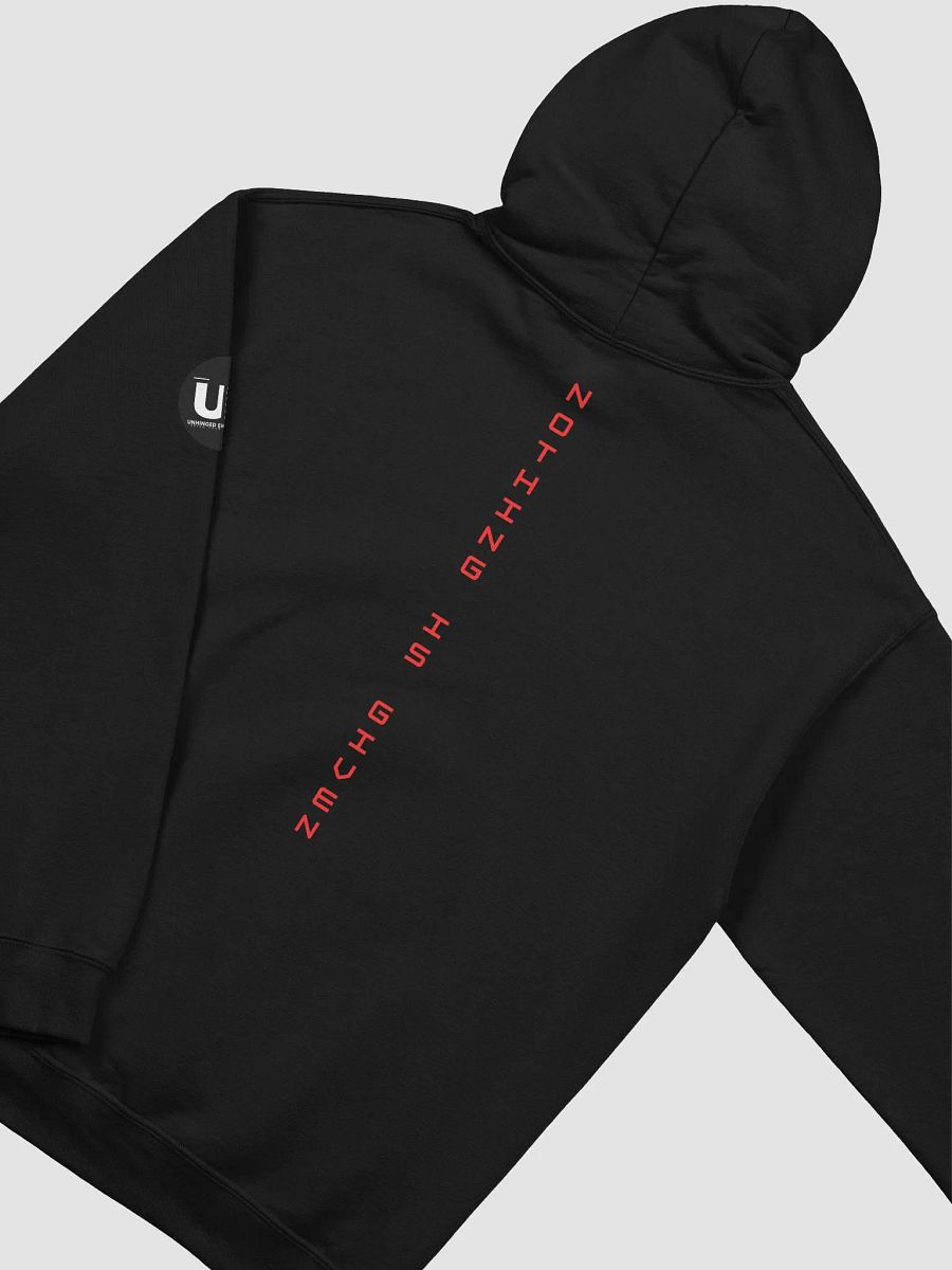 NOTHING IS GIVEN product image (25)