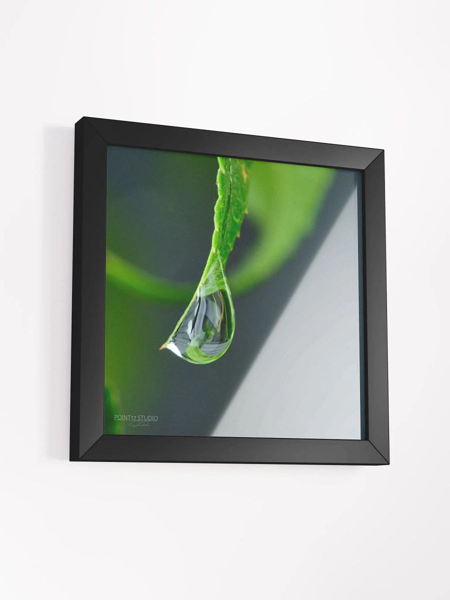Dew Gems #4 - Framed Print product image (3)