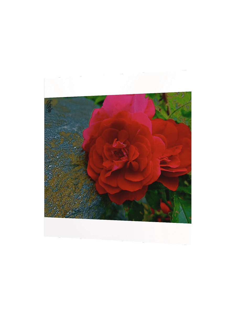 Red Flower product image (8)
