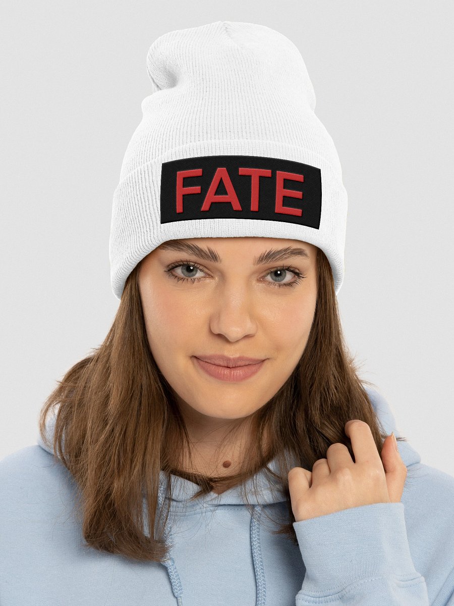 Yupoong Cuffed Beanie: fate 2.0 product image (30)