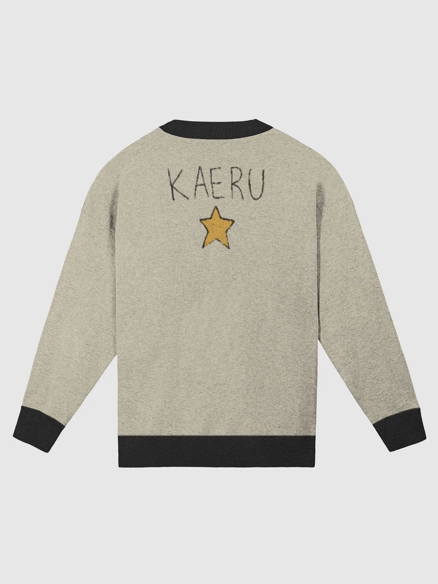 (FROG is going to live now with RAKE) - SECRET SWEATER product image (2)