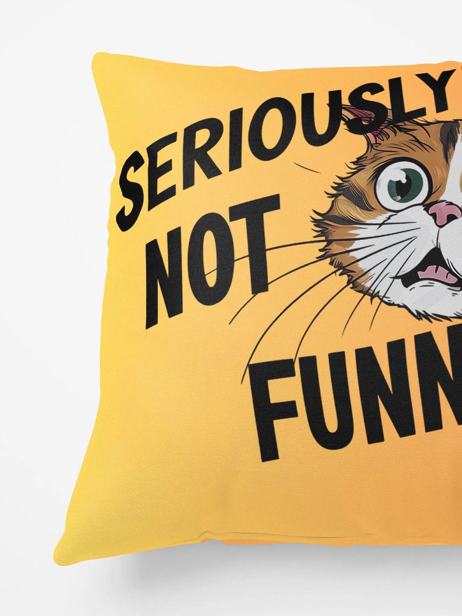 Seriously! Not Funny!