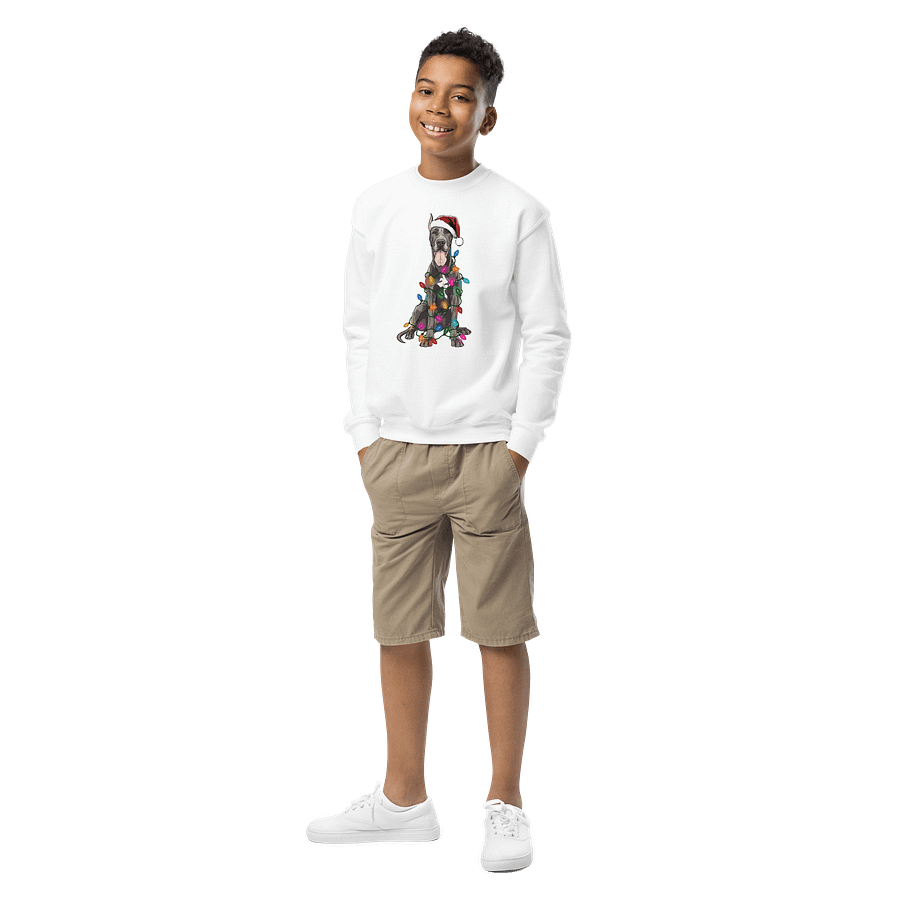 Funny Christmas Great Dane(Gray, Cropped Ears) Youth Sweatshirt product image (6)