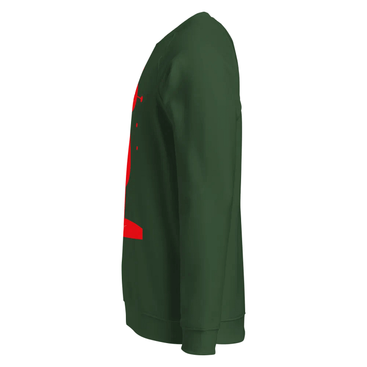 SOL'S Unisex Organic Raglan Sweatshirt product image (2)