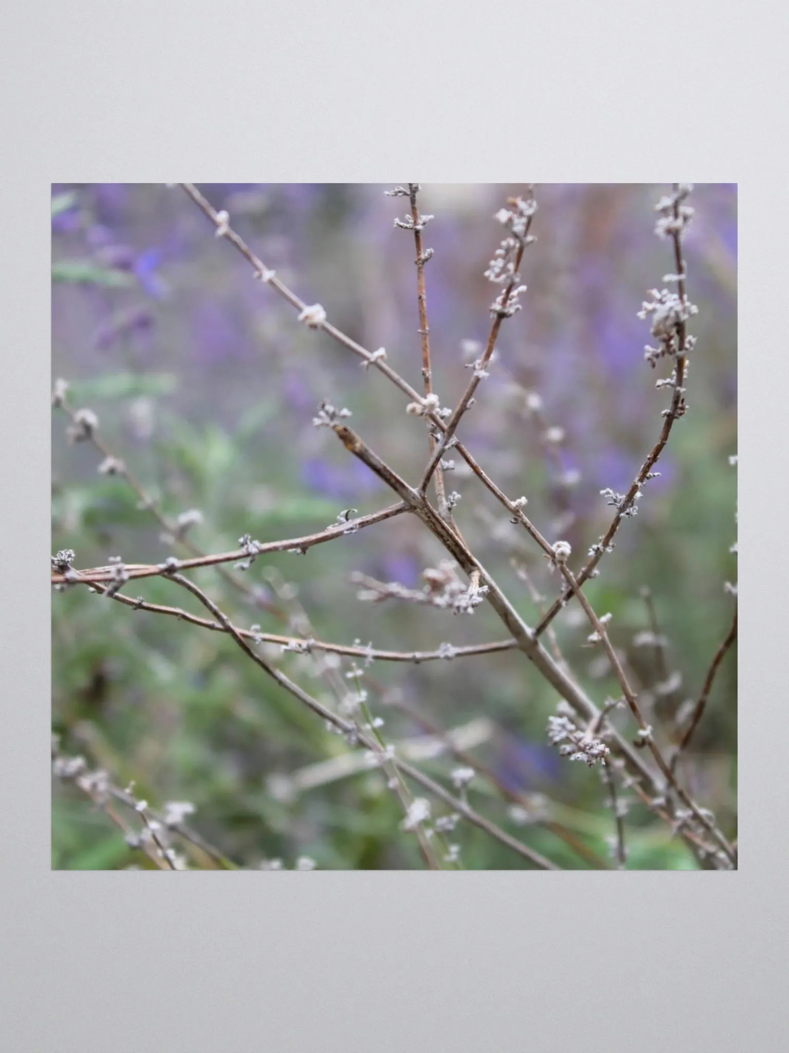 A Study in Flowers 15 - sticker version product image (2)