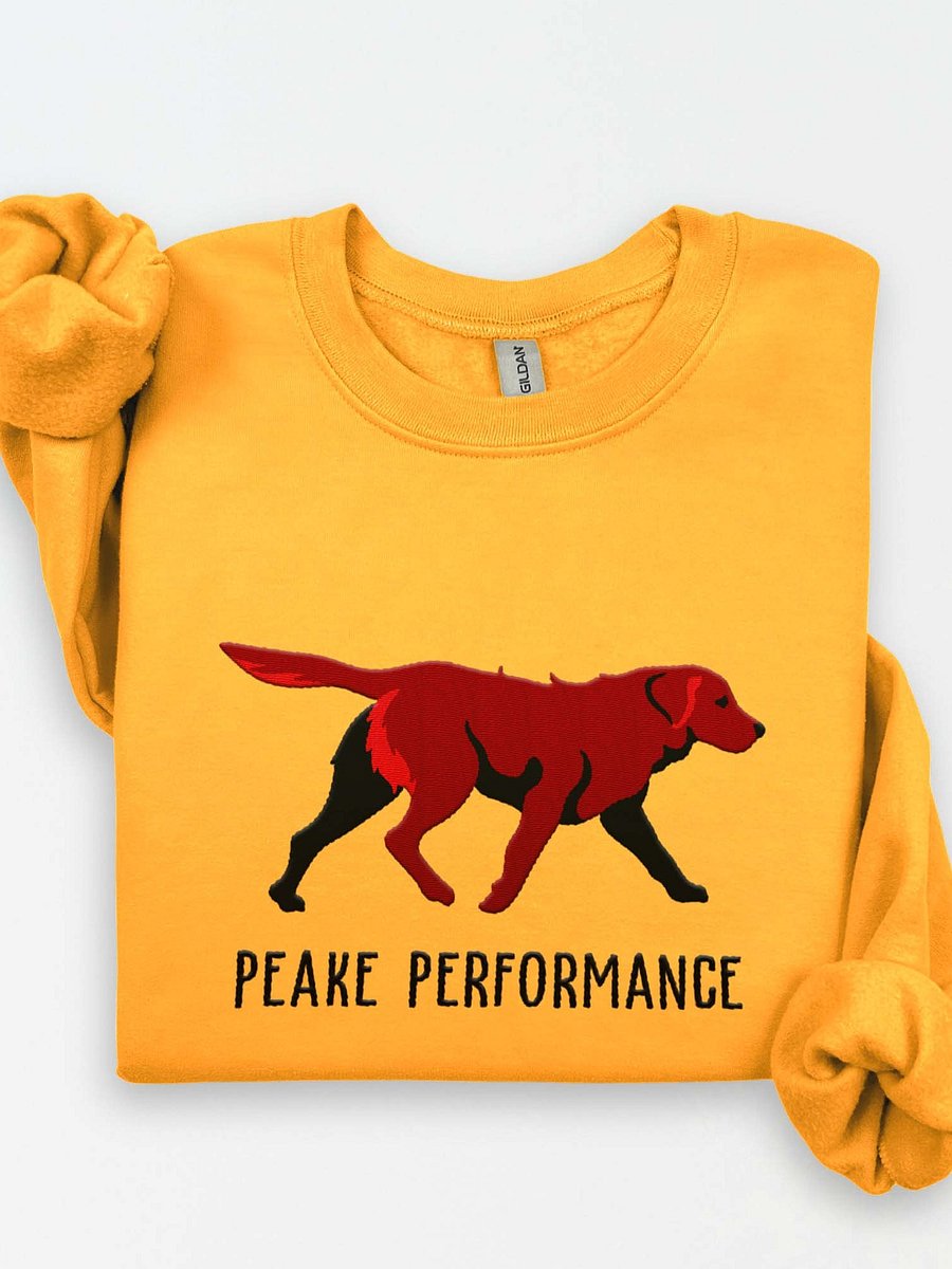 Peake Performance Sweatshirt (Embroidered) of a Chesapeake Bay Retriever(Brown) product image (1)