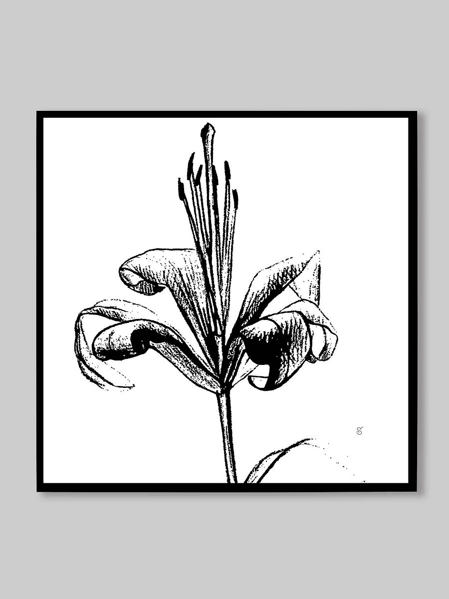 Lily Line Art Canvas Print - Fine Flower Light product image (42)