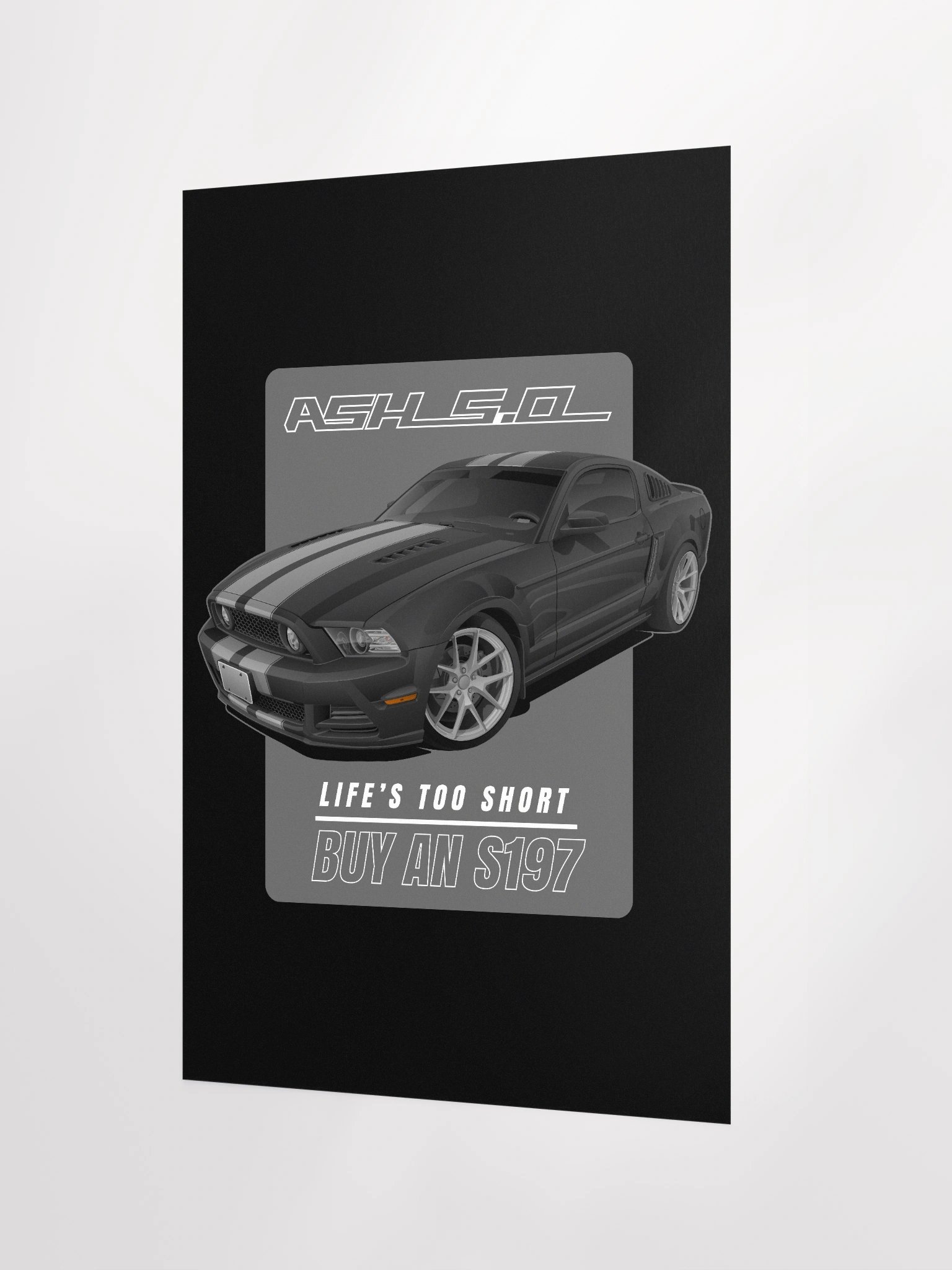 Poster - Ashton's S197 product image (2)