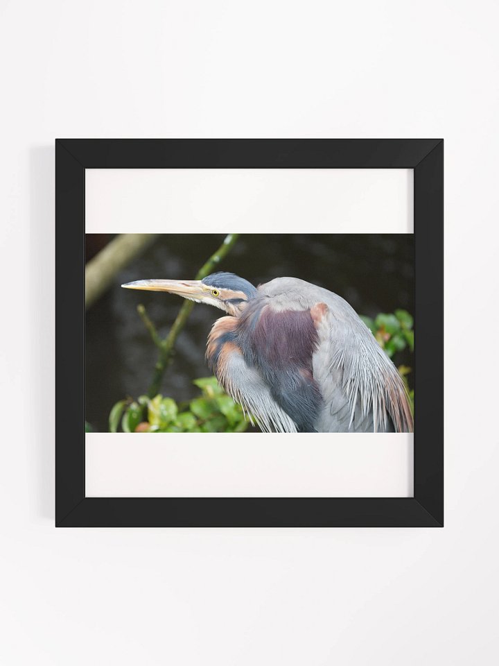 Vibrant Ayous Wood Framed Matte Poster product image (1)