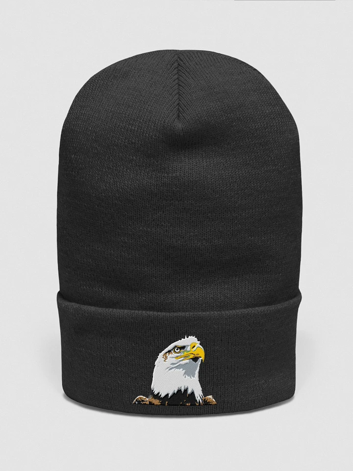 Soar in Style with the Embroidered Eagle Cuffed Beanie product image (1)