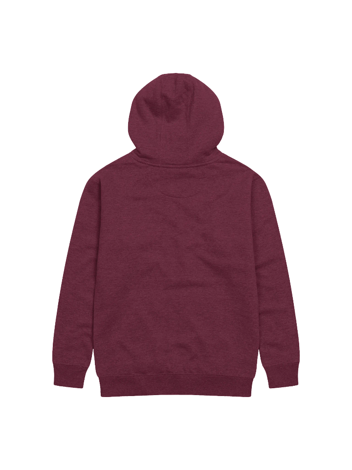 HOMETOWN PRIDE - HOODIE product image (2)